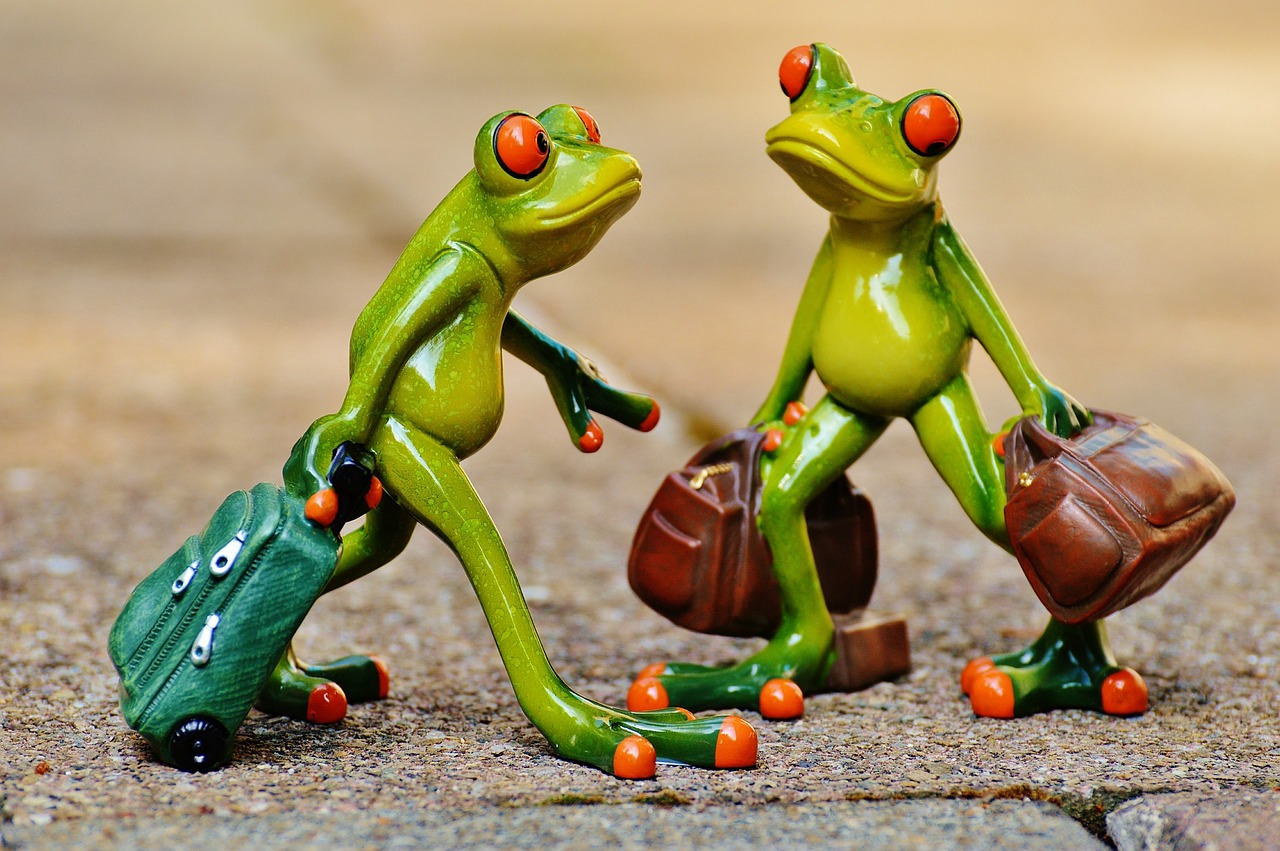 frogs, fun, travel, suitcase, travel bag, vacations, nature, frog, on the way, animal, figure, cute