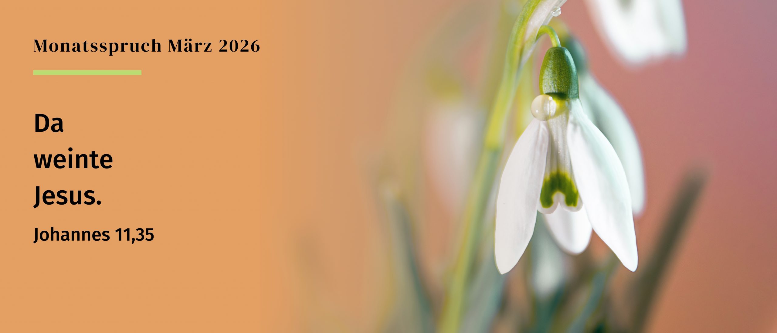 Ein rechteckiges Banner mit dem Titel „Monatsspruch März 2026“ in klarer, weißer Schrift, zentriert auf einem weichen Aquarellhintergrund in Rosa‑ und Pfirsichtönen. Rechts unten befindet sich ein kleines, dunkles, stilisiertes Kreuz als grafisches Element. Die Bildwirkung ist ruhig und freundlich, geeignet für Gemeindebrief oder Monatsblatt.