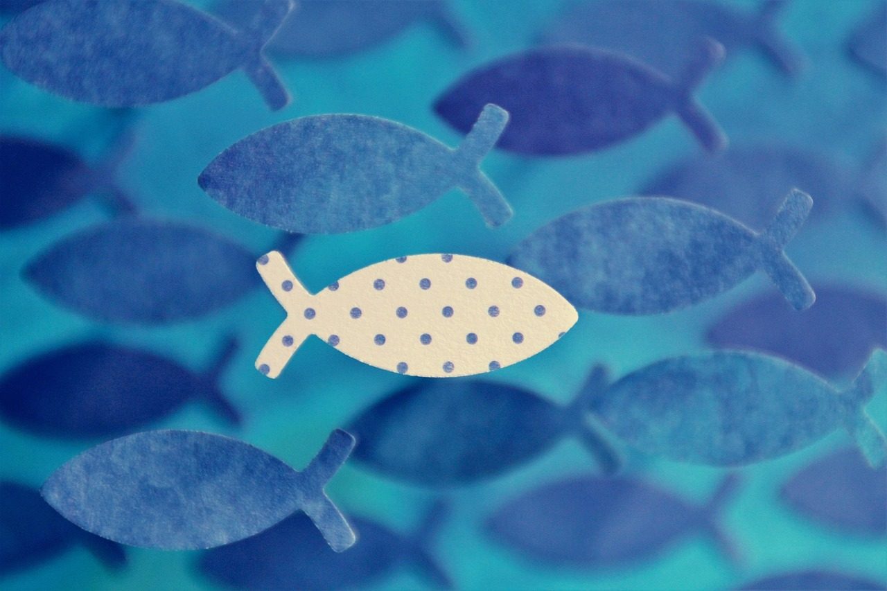 fish, communion, confirmation, faith, firming, symbol, self-assured, electricity, self-consciousness, anders, religion, against the current, swim, blue, points, handcraft, carton, punch, courage, believe, together, church, communion, communion, communion, communion, communion, confirmation, courage